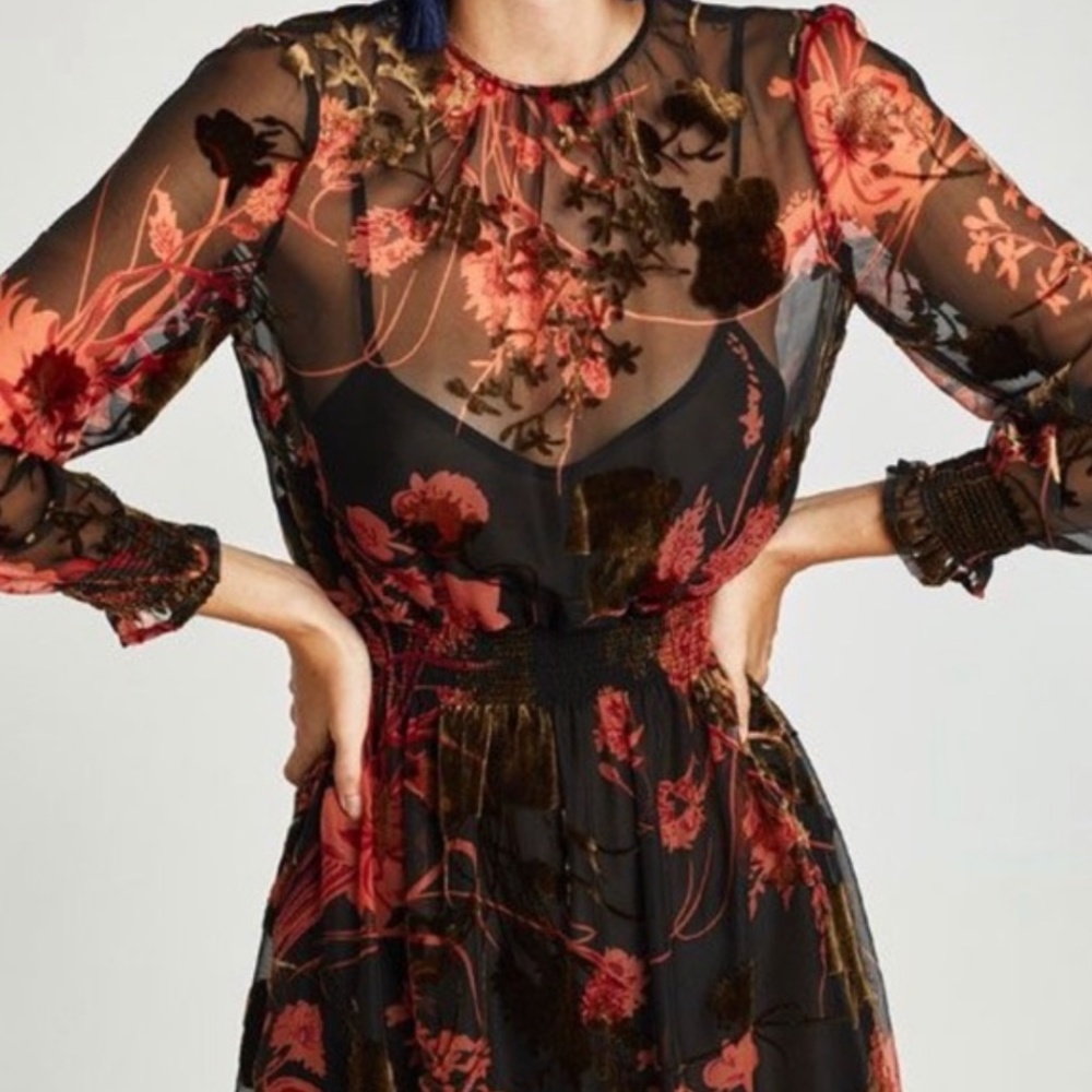 Zara Woman Sheer Black/ Burnt Orange Velvet Dress